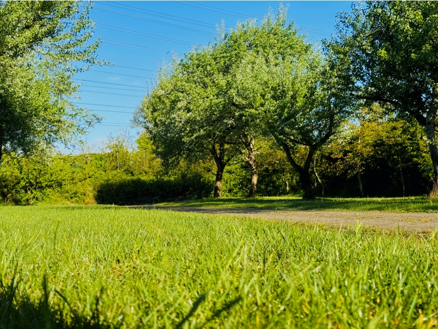 wasserski-langenfeld Kurzzeit campingwiese für wassersportler